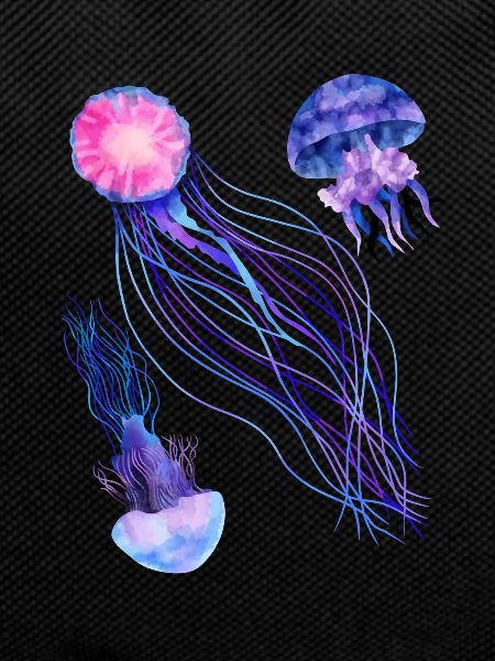 Jellyfish