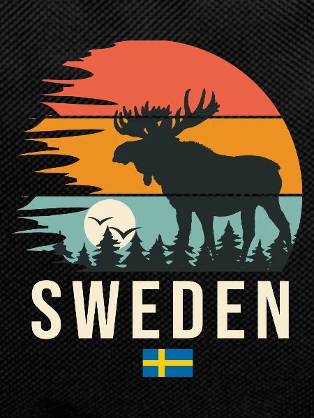 Sweden Cool Gift