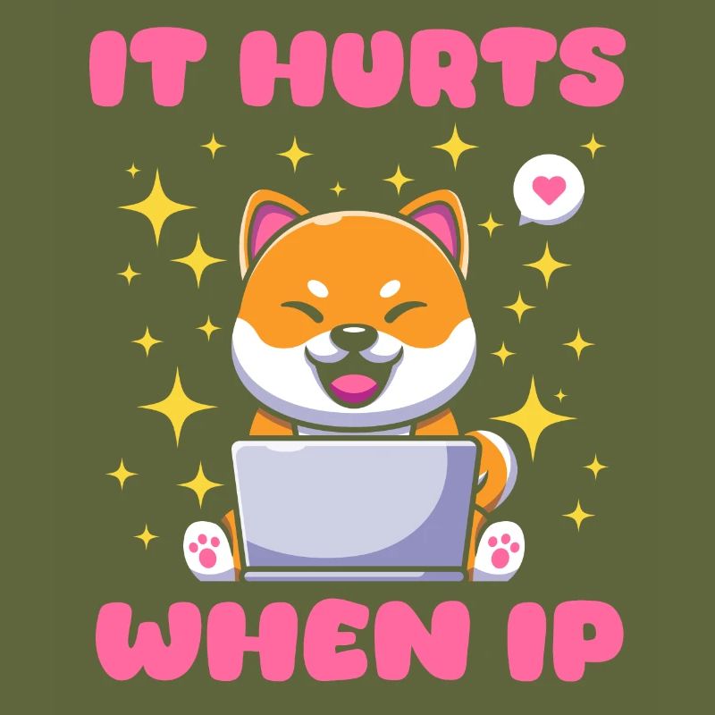 IT Geek, Accessoires PC Périphériques de stockage Evolution