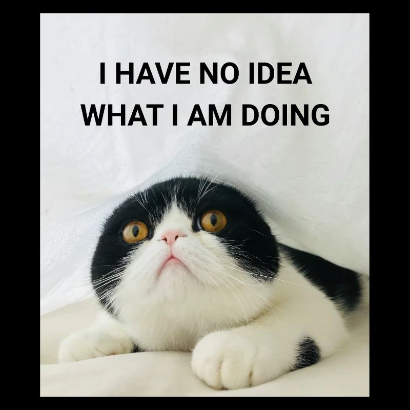 I HAVE NO IDEA WHAT I AM DOING CATS MEMES