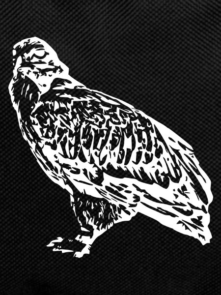 Falcons Birds Birds