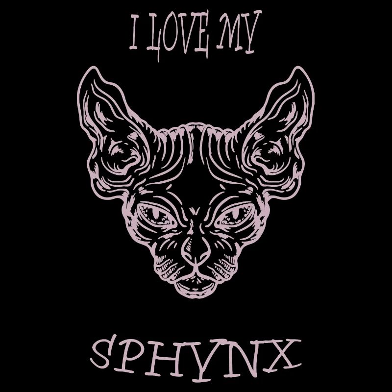Nacktkatze Sphynx Katze