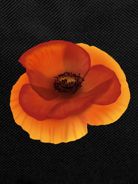 Poppy