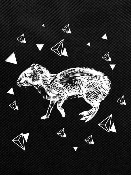 Rat - rongeur
