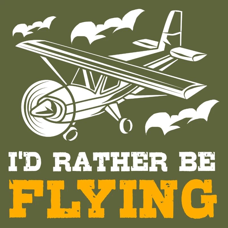 Pilot Flugzeug