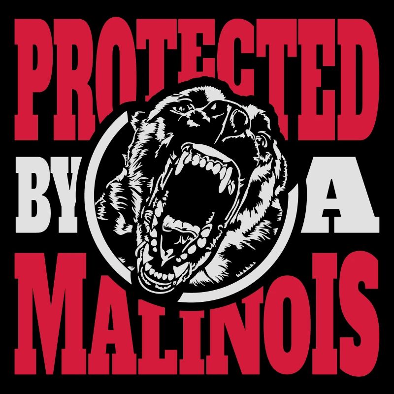 Protected by a MALINOIS Belgian Malinois Wilsigns