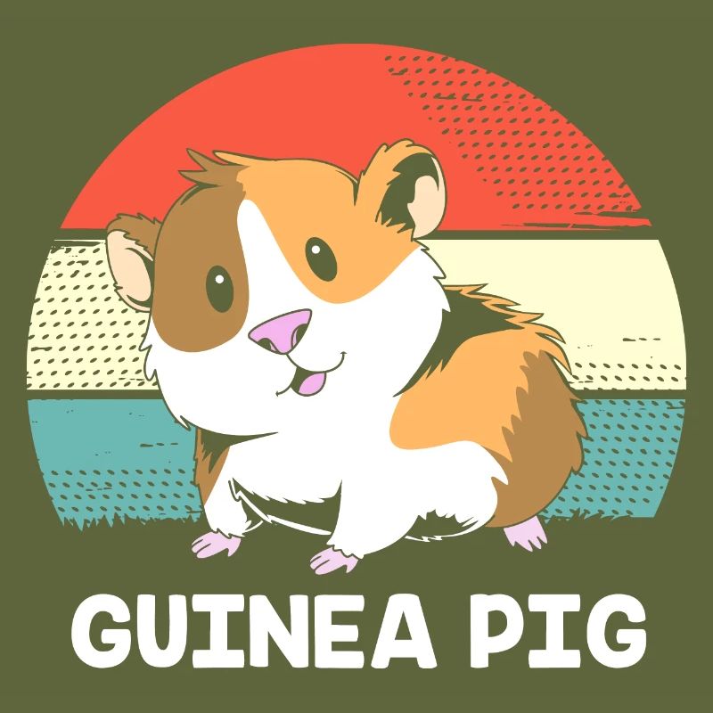 Guinea pig