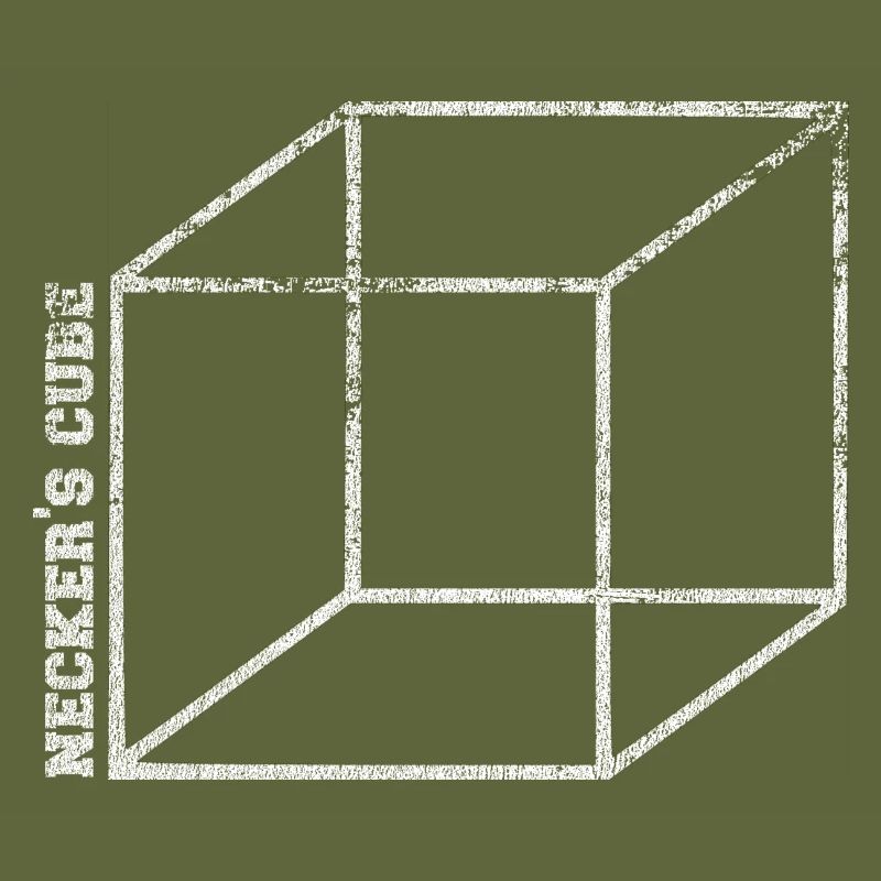necker illusion