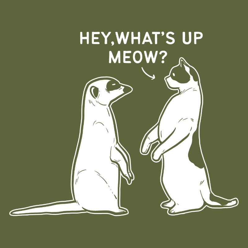Meerkat