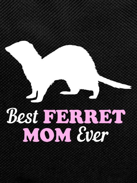 Ferret