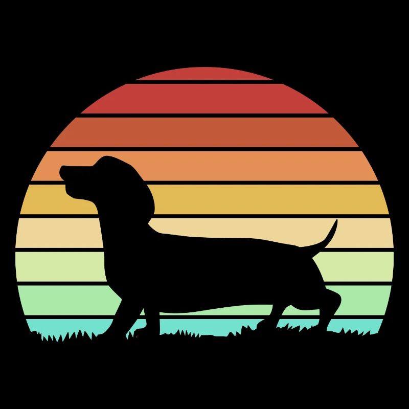 Dachshund