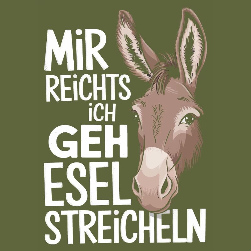 Donkey Donkey Mule Muli