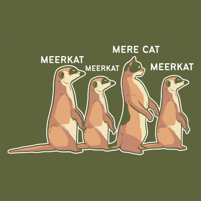 Meerkat