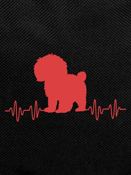 Goldendoodle