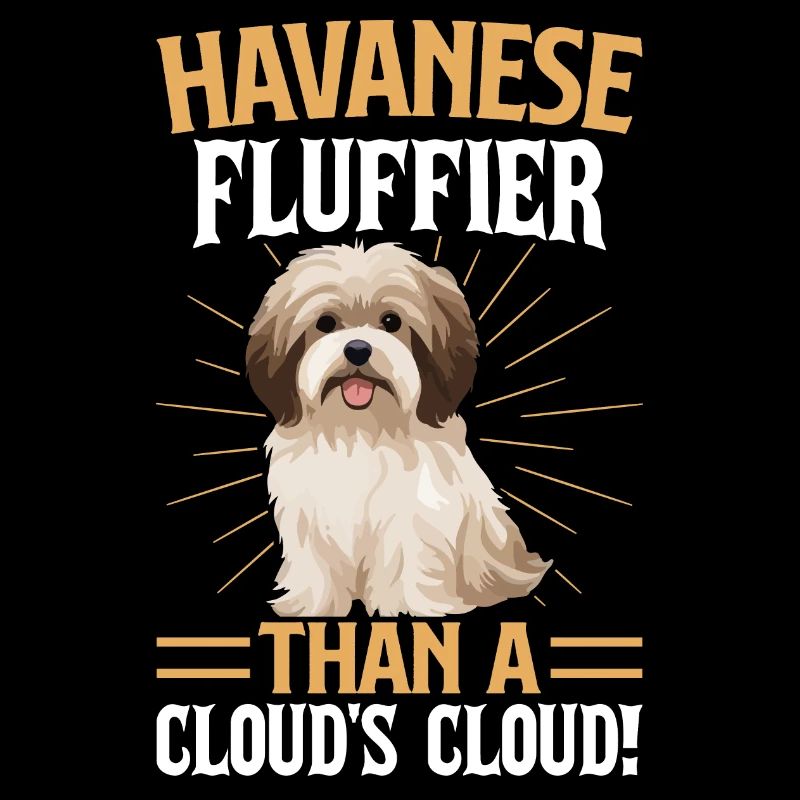 Havanese Fluffier than a Cloud's Cloud