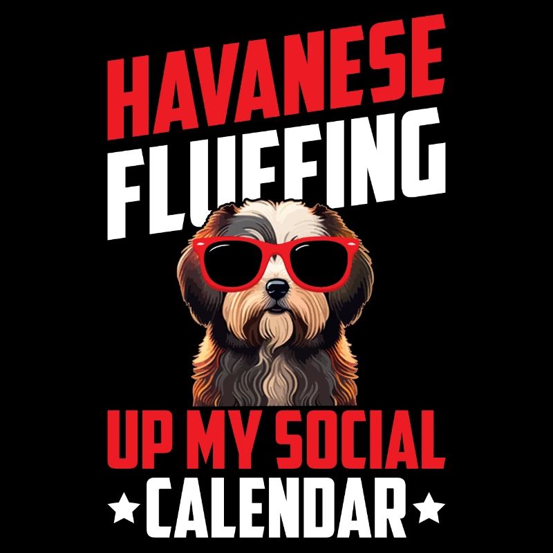 Bichon Havanais Gonfler mon calendrier social