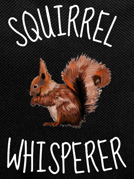 Rodent Squirrel