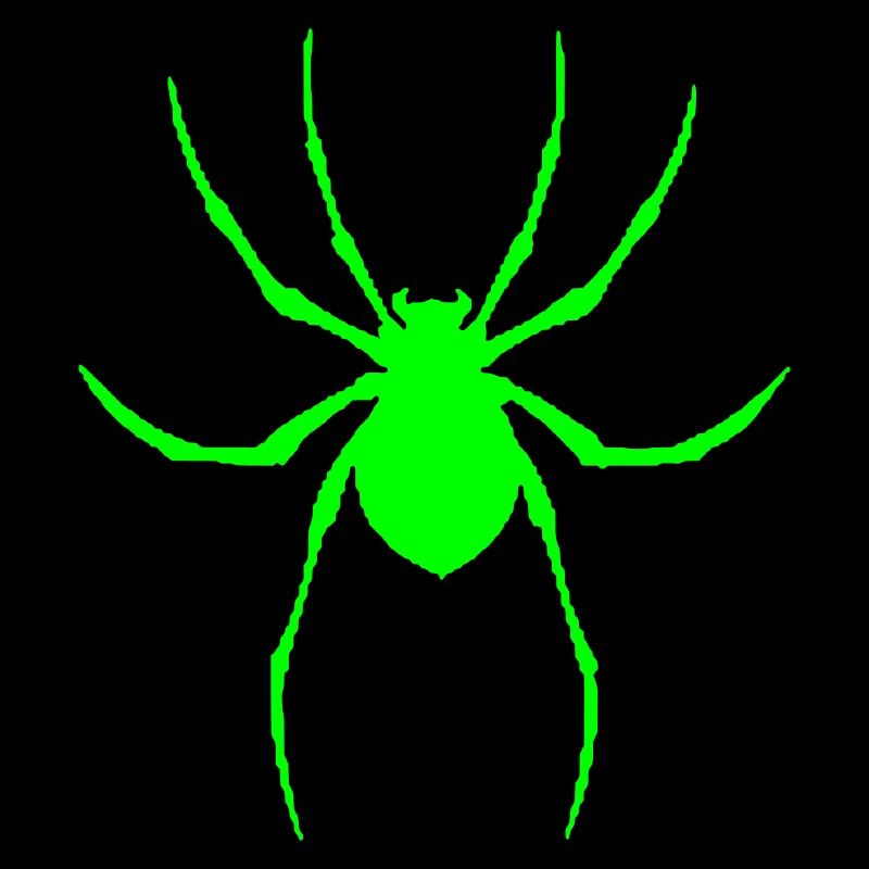 Spider graphique vectoriel