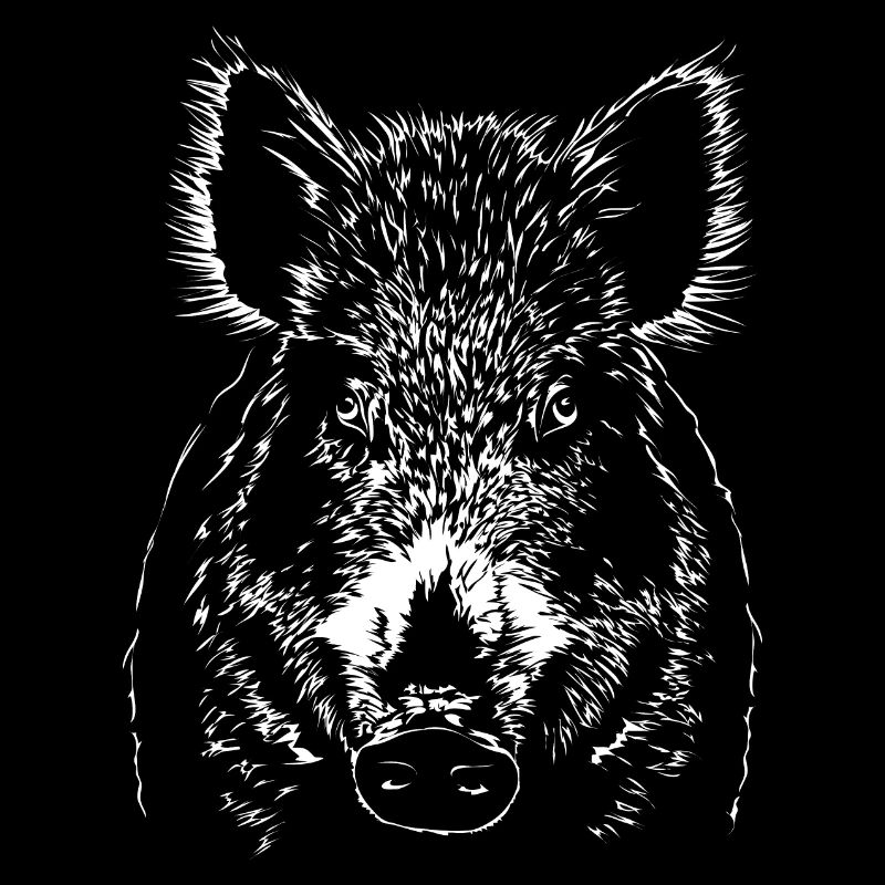 Wild boar Sows Wild boar Wild animals Wilsigns