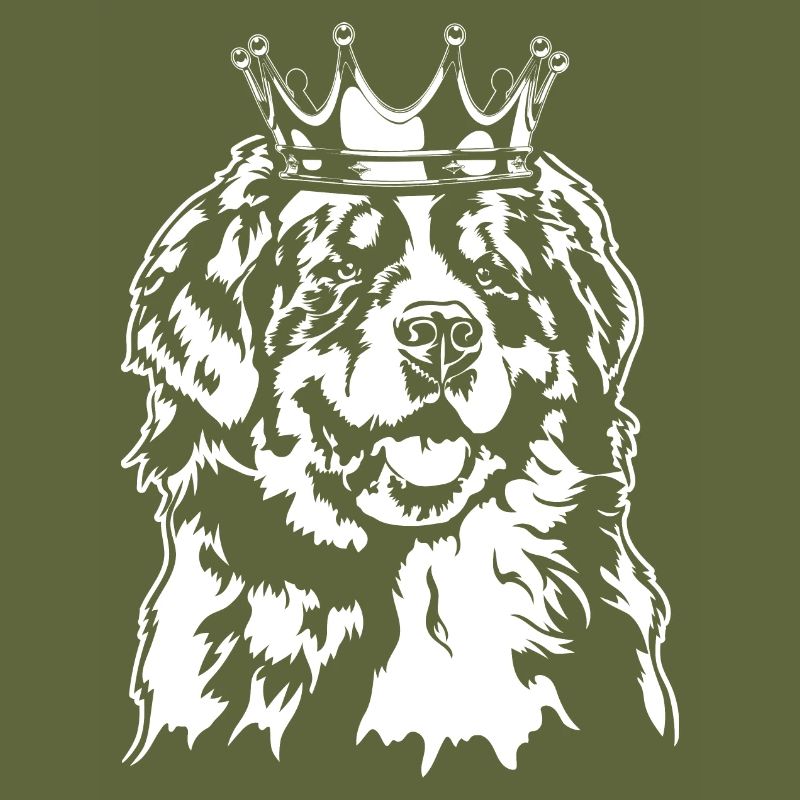 Bouvier Bernois Krone Chiens Chien Wilsigns
