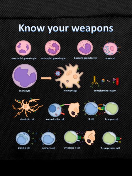 Immune system