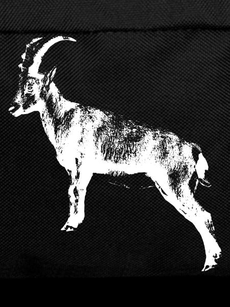 Capricorn