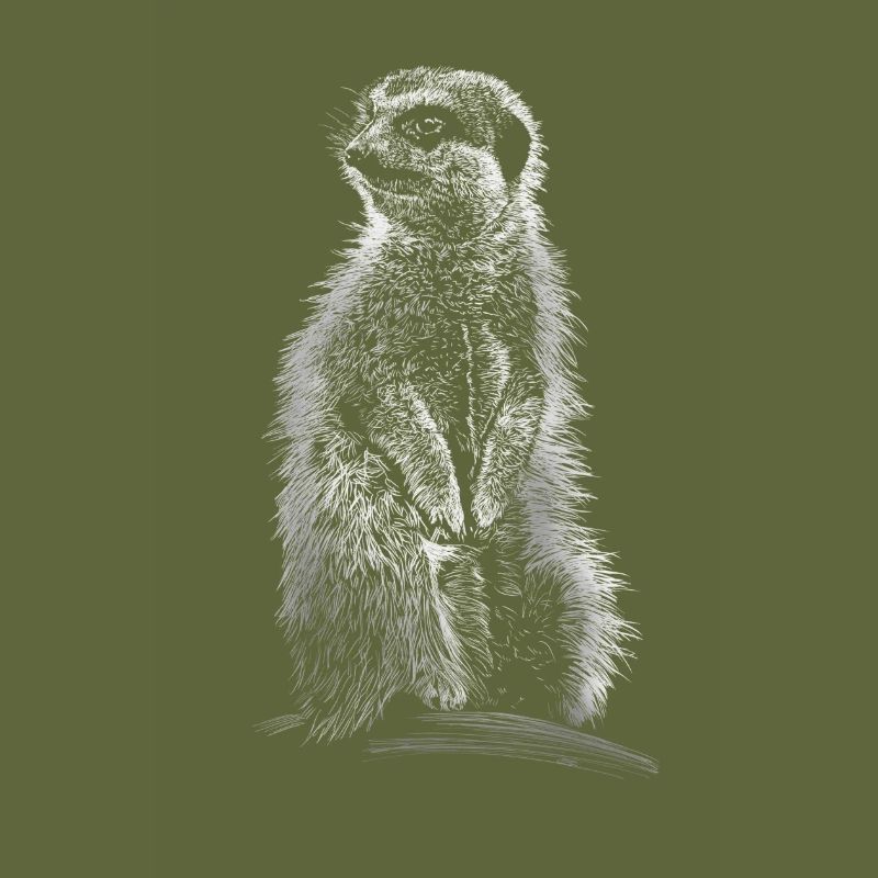 Erdmännchen