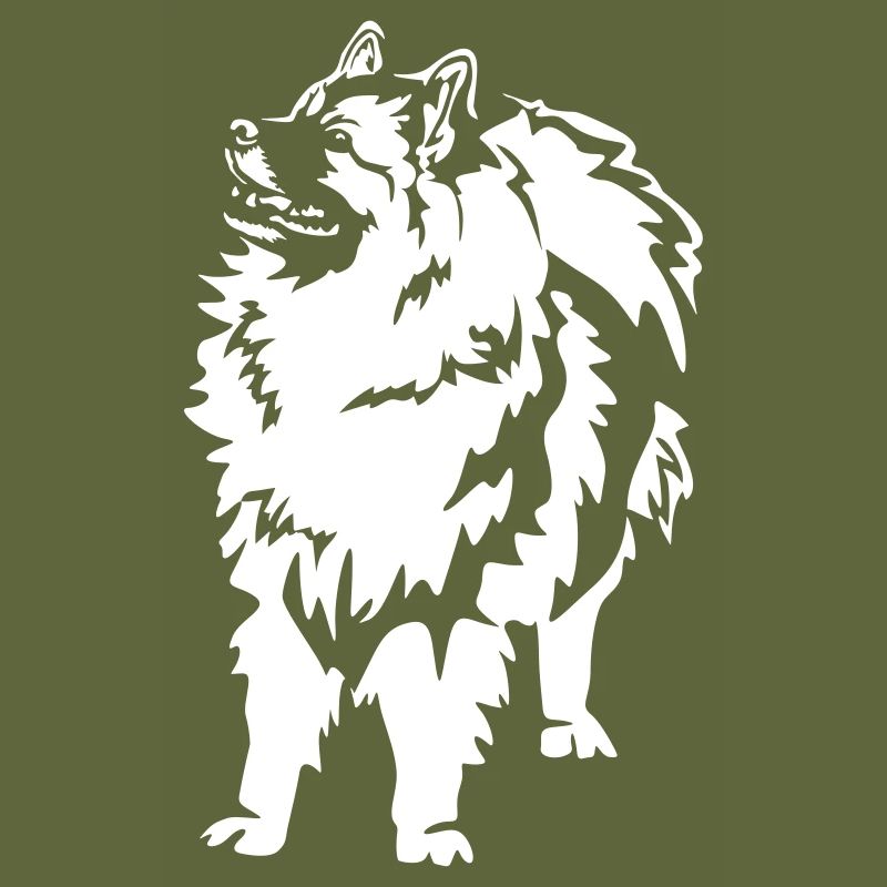 Wolfsspitz « Édition Noire »