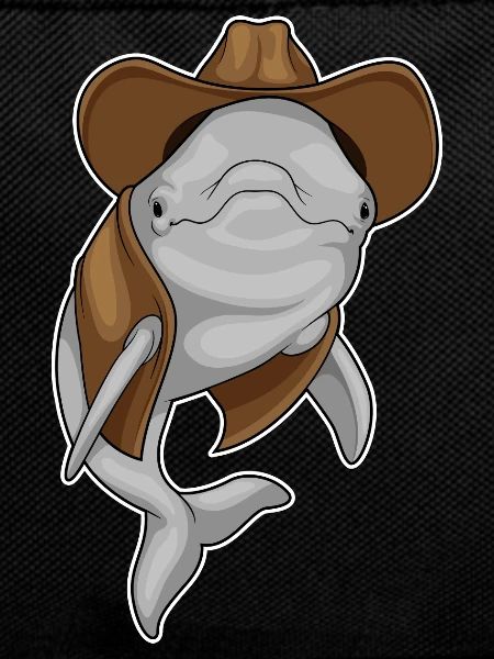 Dolphin Cowboy Cowboy Hat