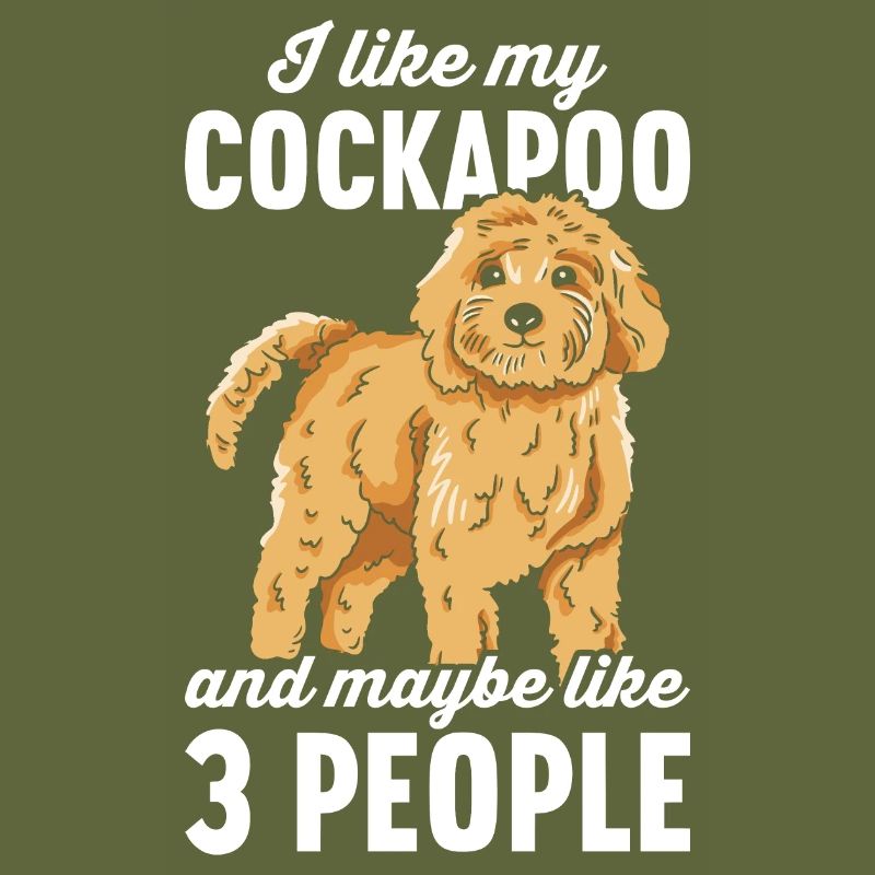 Cockapoo Hund