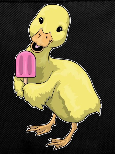 Popsicles au canard