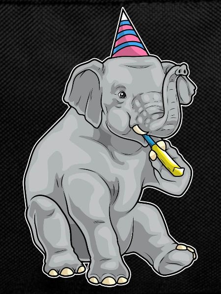 Elephant Birthday Toad