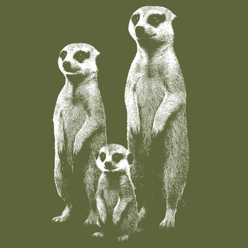 Erdmännchen hell
