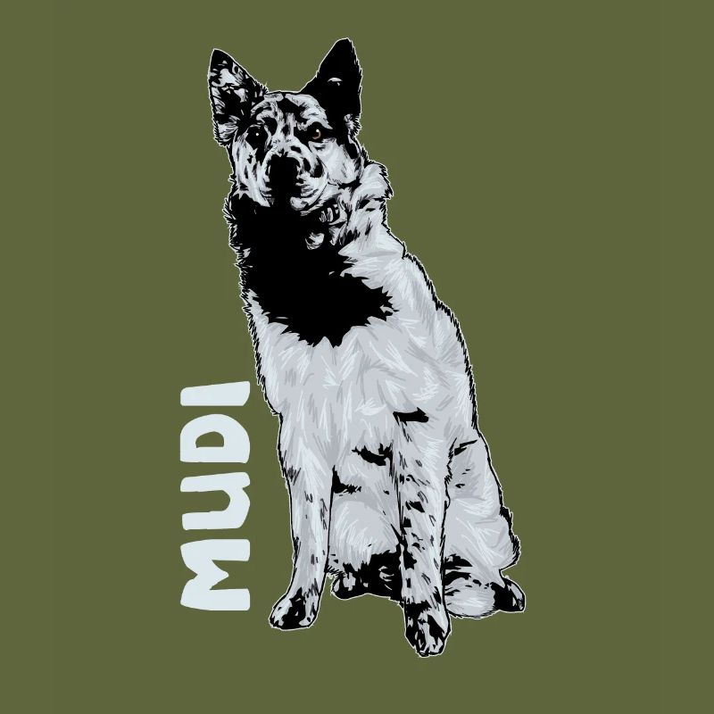 Mudi