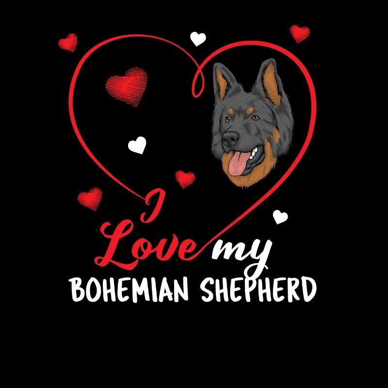 Bohemian Shepherd