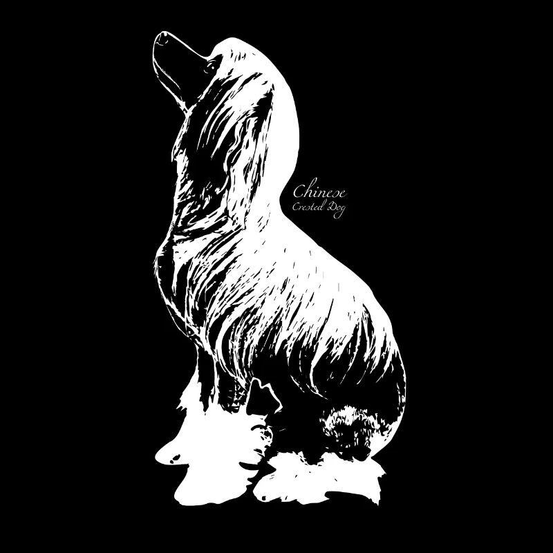 Chien chinois à crête