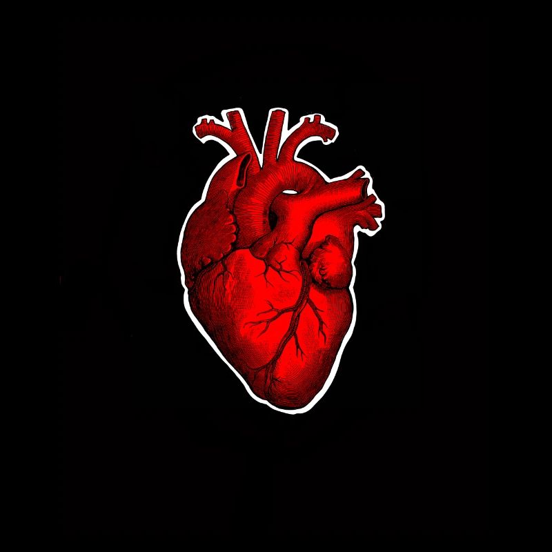 Retro Victorian Etching Style Human Heart