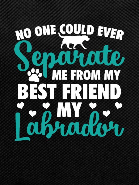 Labrador