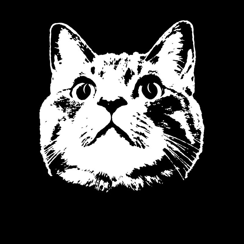 chat