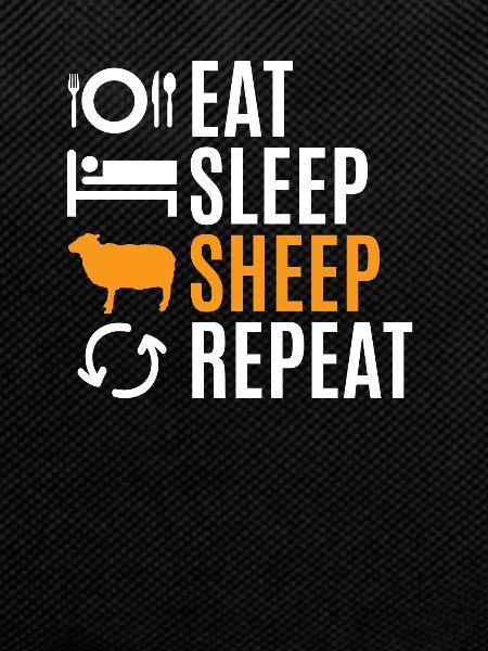 sheep
