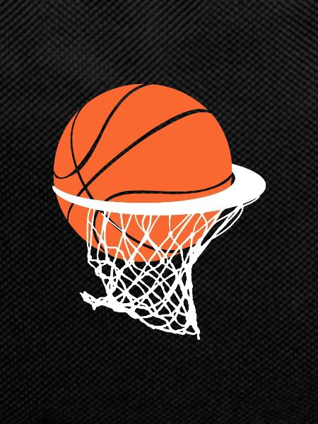 Basket-ball panier