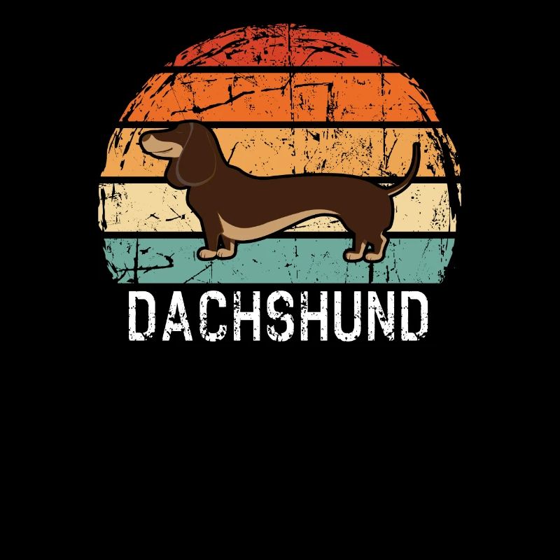 Dachshund Dachshund