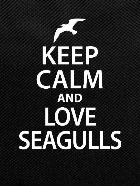 mouette