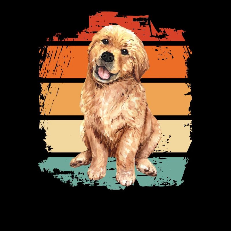 Golden retriever