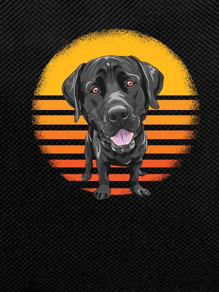 Labrador