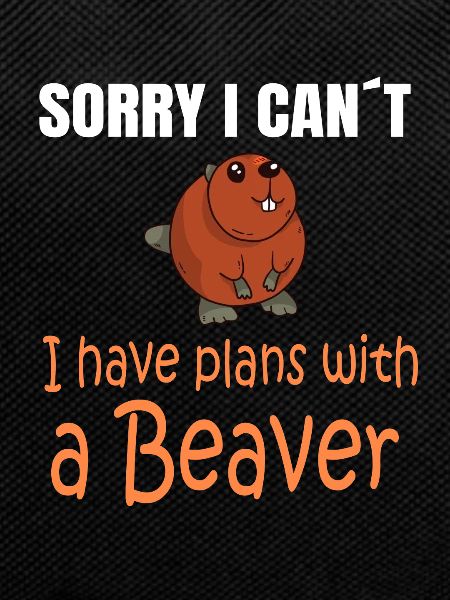 BEAVER: Plans with a Beaver