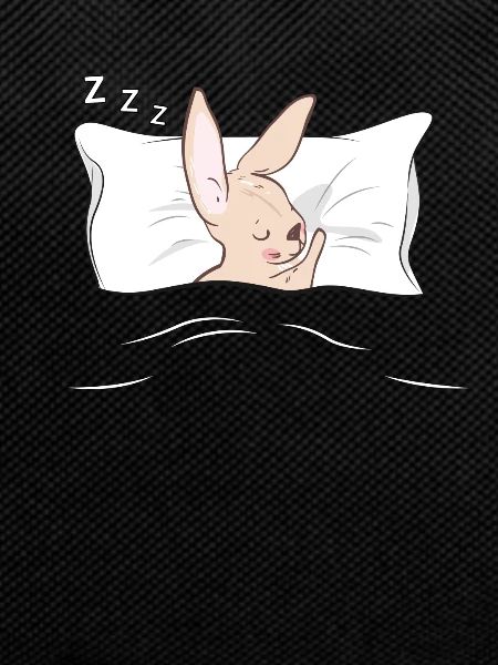 Pyjama pyjama lapin