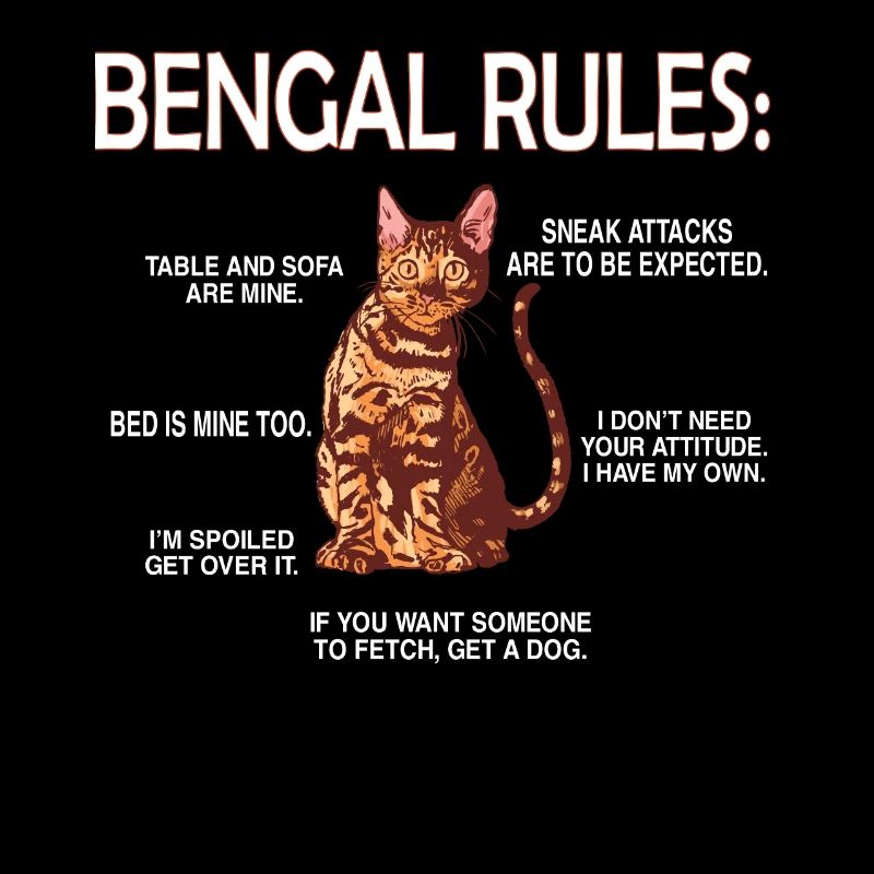 Bengale amants chat bengal propriétaire