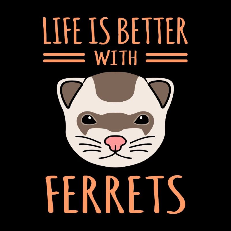 Ferret