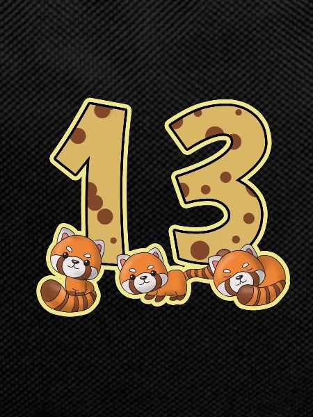 Anniversaire 13